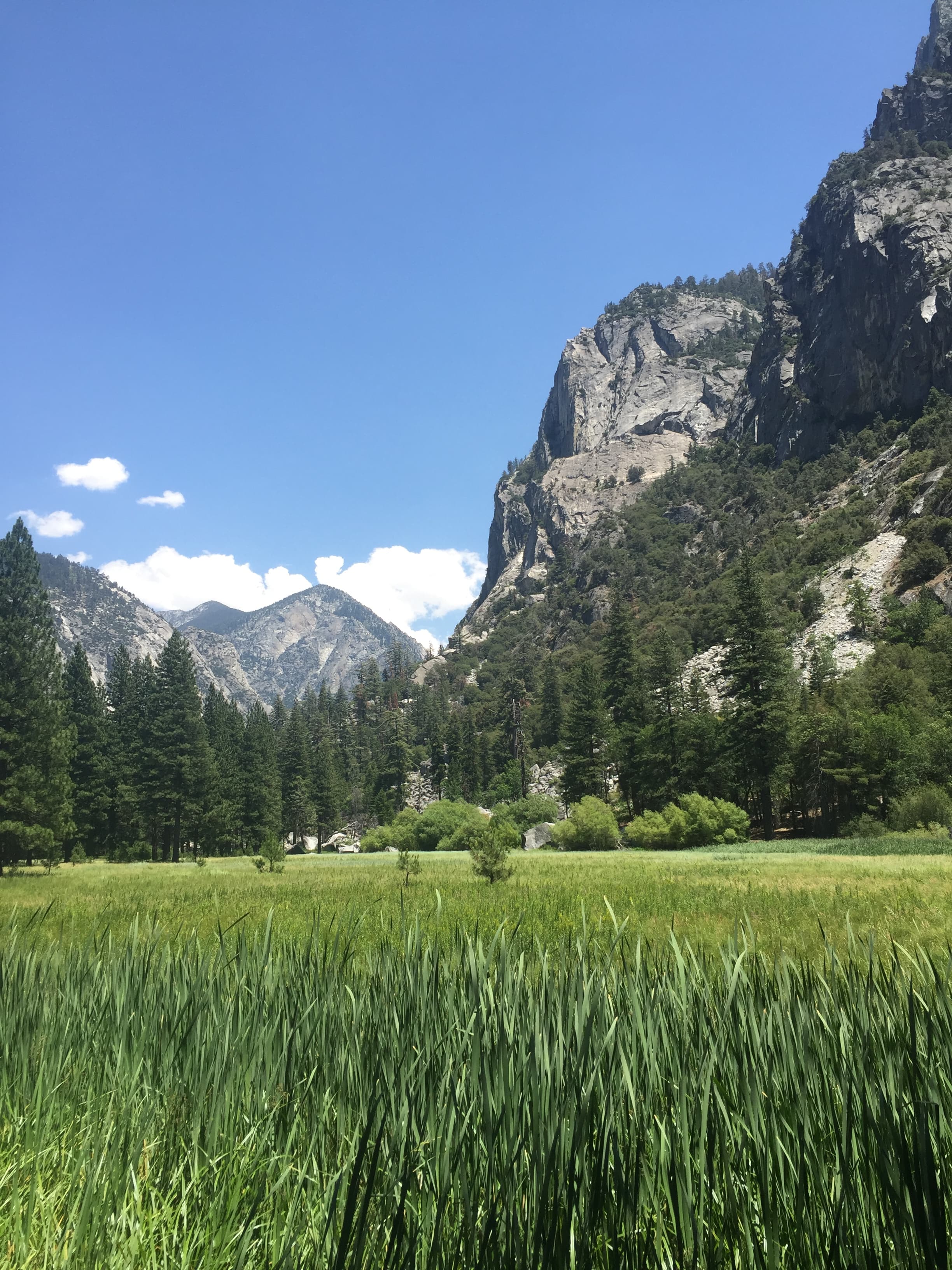 Kings Canyon National Park, California, United States