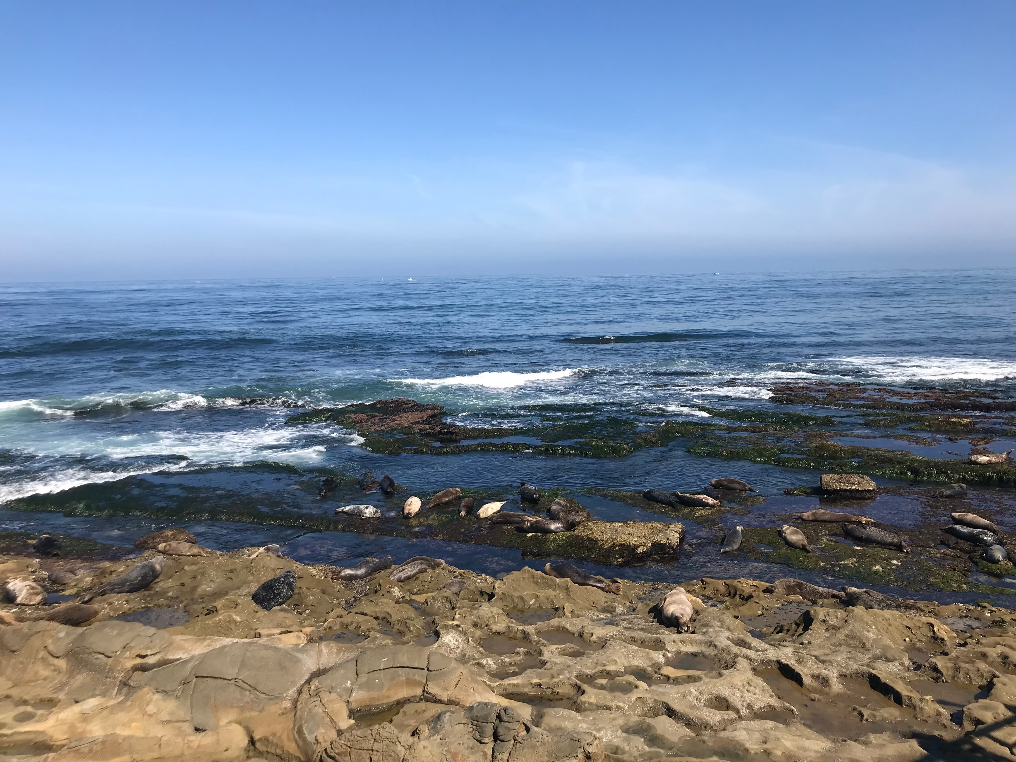 La Jolla, California, United States