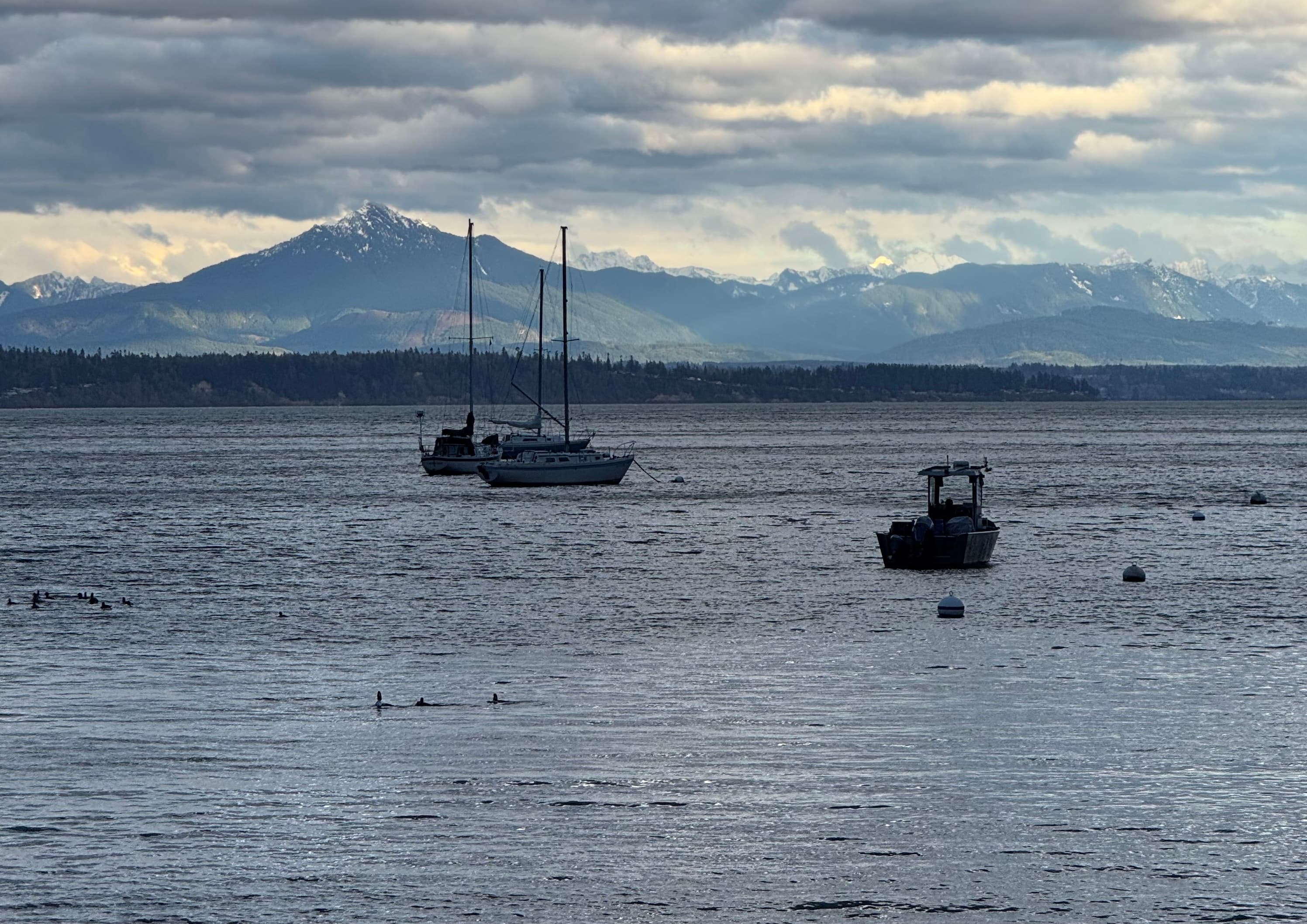 Langley, Washington, United States