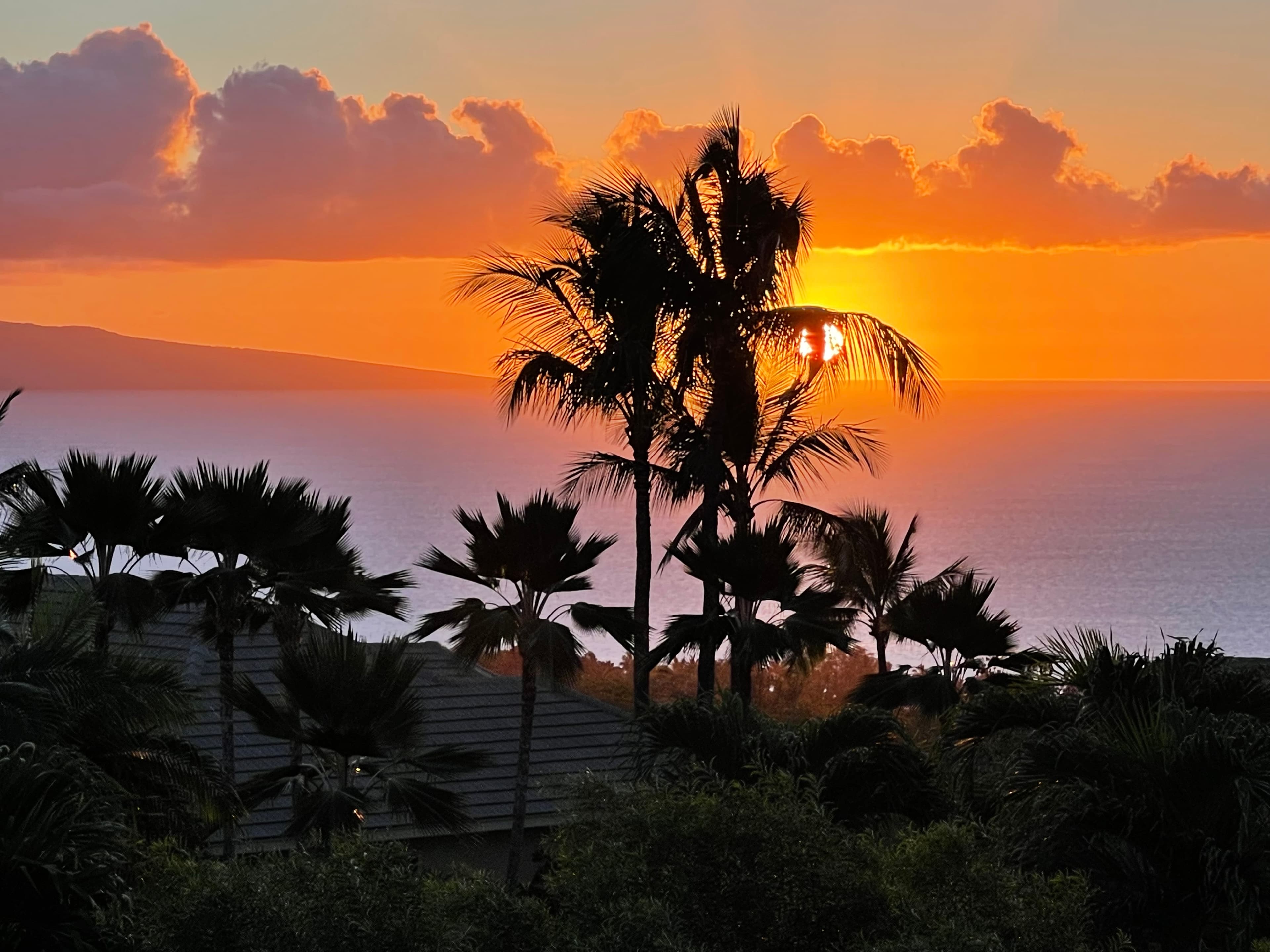 Maui, Hawaii, United States