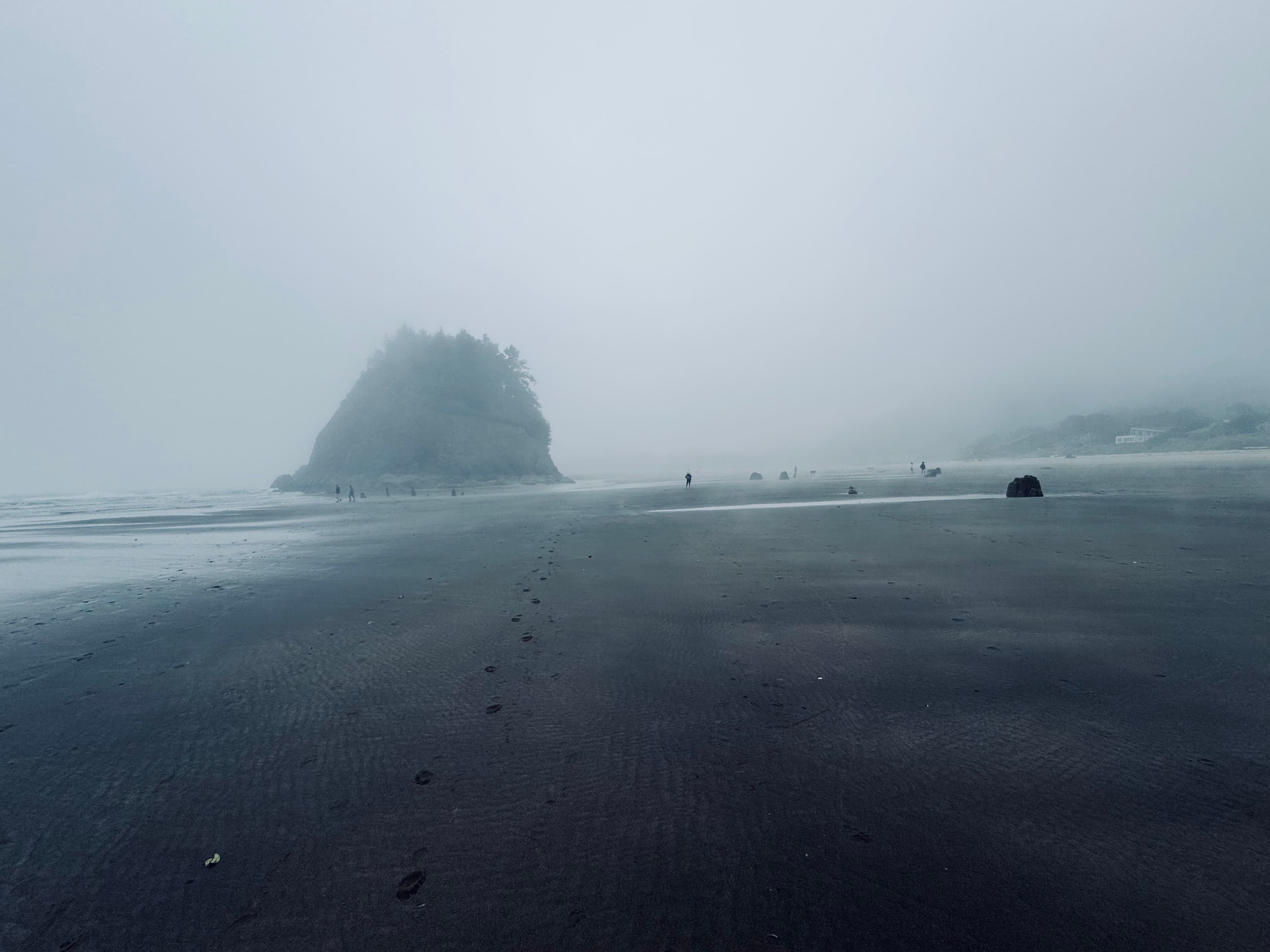 Neskowin Ghost Forest, Oregon, United States