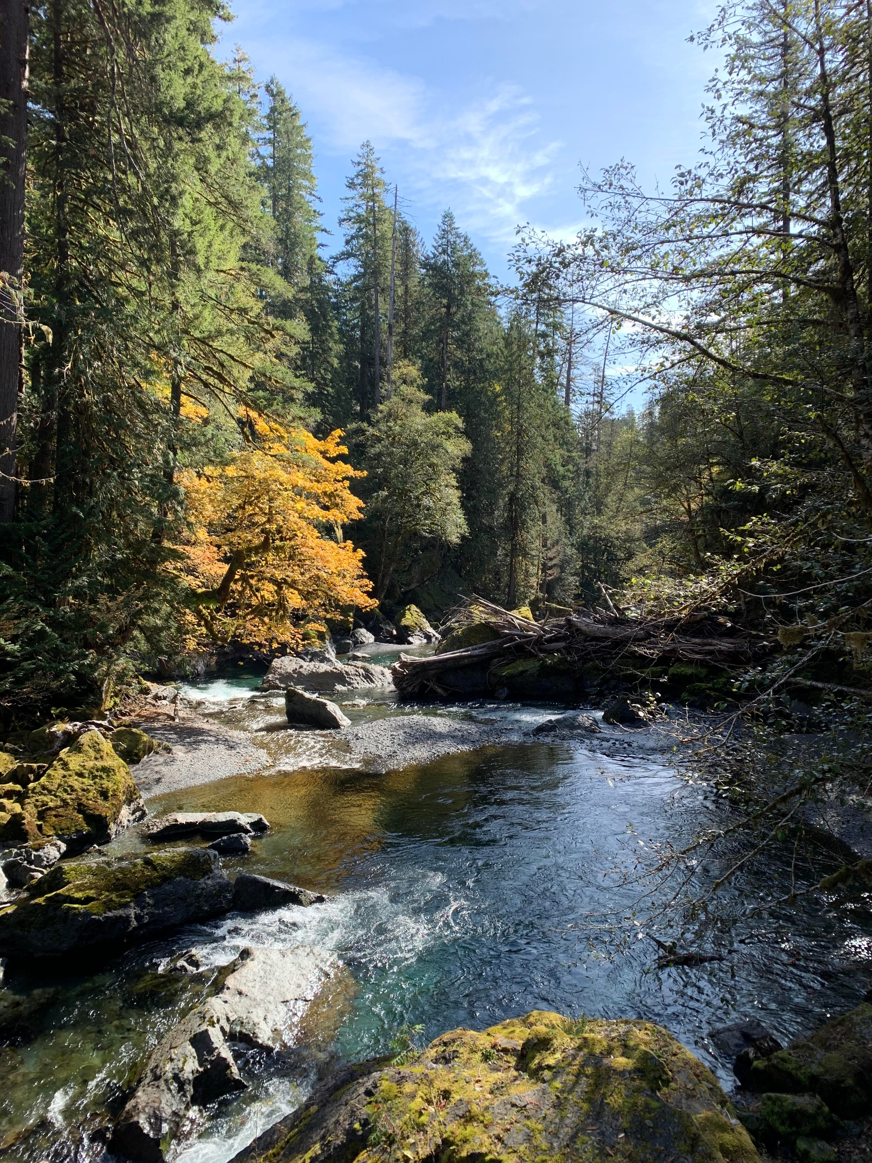Olympic National Park, Washington, United States
